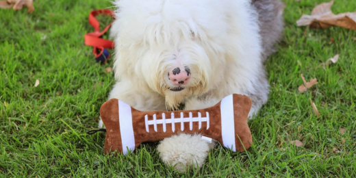 10 Tailgating Favorites for Dogs and Cats: Get Game Day Ready with Huxley & Kent 🏈🐾 Huxley & Kent