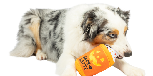 Spooktacular Halloween Toys to Fill Your Pet’s Trick-or-Treat Bucket! 🎃👻 Huxley & Kent