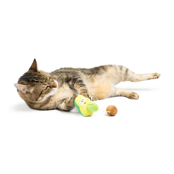 Avocado Popper Cat Toy Huxley Kent