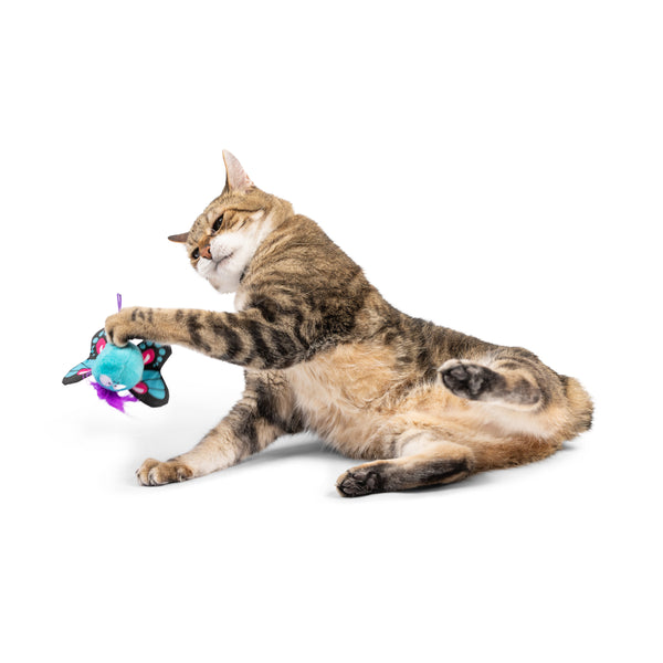 Butterfly Flinger Cat Toy - Huxley & Kent
