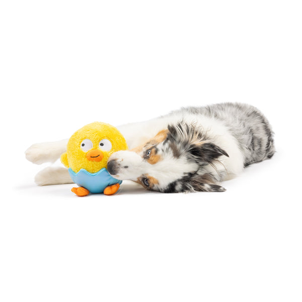 Chick-A-Dee Dog Toy - Huxley & Kent