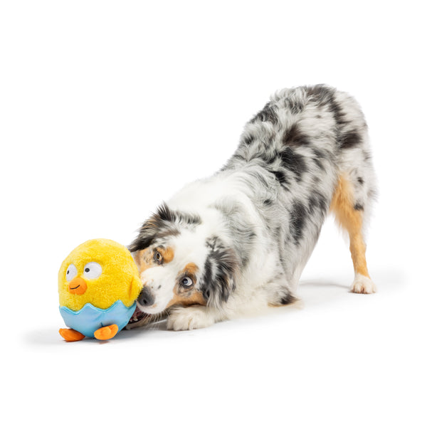 Chick-A-Dee Dog Toy - Huxley & Kent