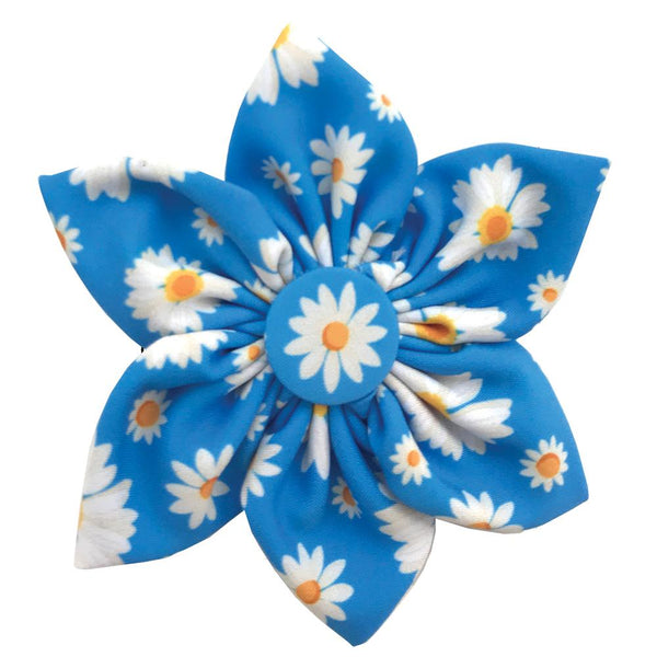 Flower Child Pinwheel - Pet Collar Accessory - Huxley & Kent
