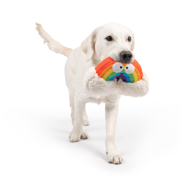 Happy Rainbow Dog Toy - Huxley & Kent