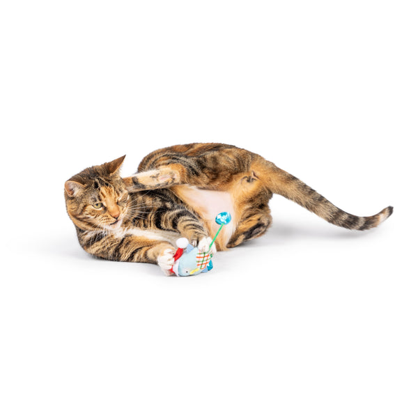 Holiday Bird Chirpy Cat Toy - Huxley & Kent