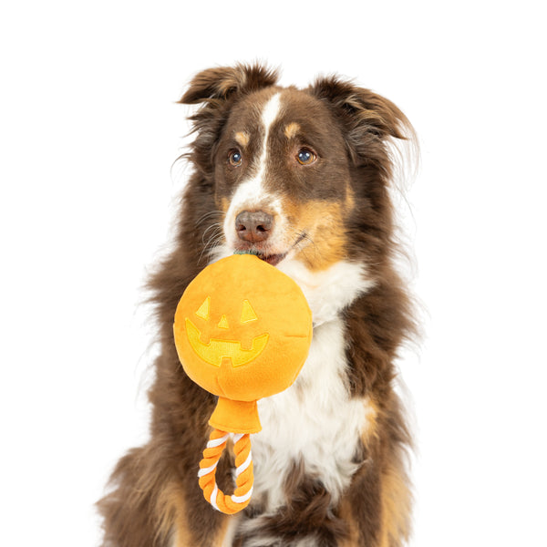 Jack Johnson Good People 限定オレンジビニール Amazon.com: Housoutil Hollow Out Jack-o-Lantern Orange Decor
