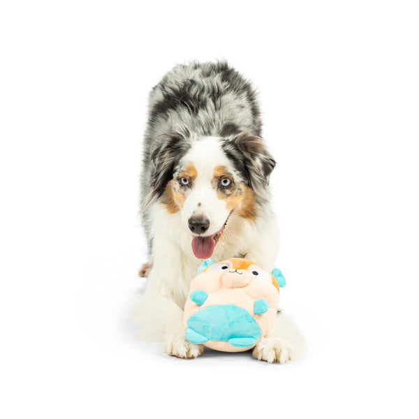 Pudgies Nutty Buddy Dog Toy - Huxley & Kent