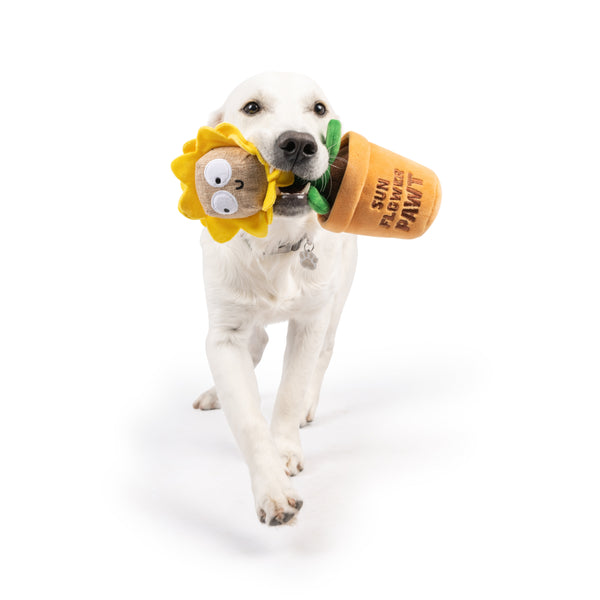 ThinkingDogsグッズ等 Seek 'n Treat Sunflower Pawt Dog Toy - Huxley & Kent