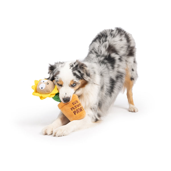 Seek 'n Treat Sunflower Pawt Dog Toy - Huxley & Kent