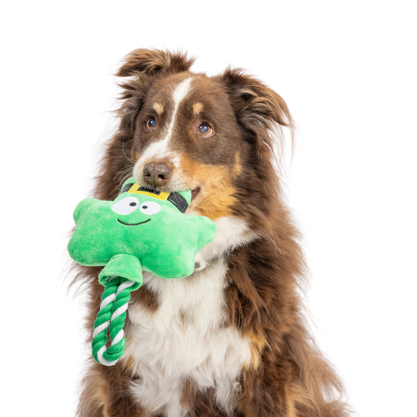 Shamrock Lollipop Dog Toy - Huxley & Kent