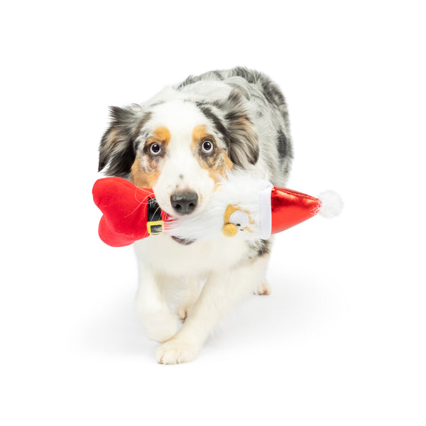 Silly Santa Bone - Huxley & Kent