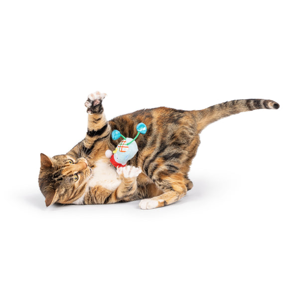 Holiday Bird Chirpy Cat Toy - Huxley & Kent