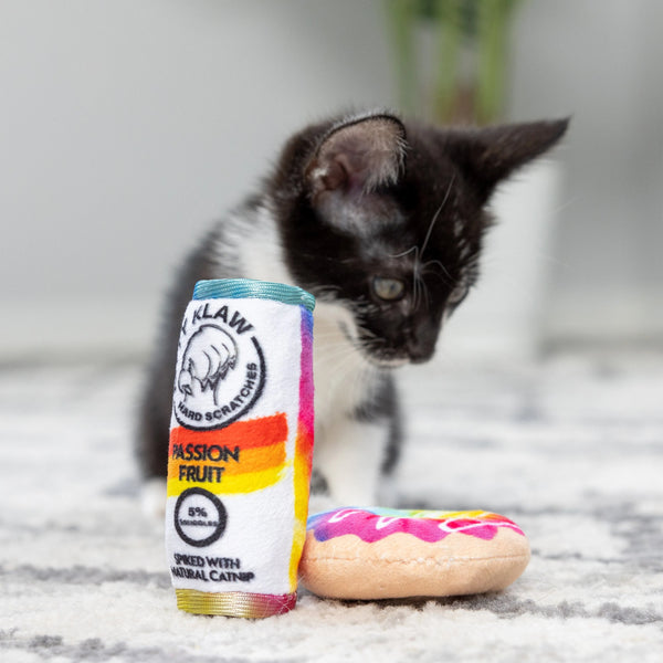 Donut & Kitty Klaw Passion Fruit 2pk Cat Toy - Huxley & Kent