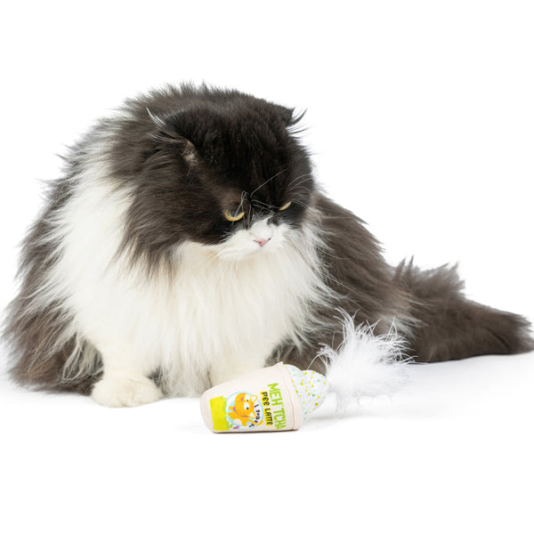 CatMeh_tchaPeeLatte2.1_600x.