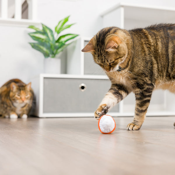 Meowww Spice Latte Cat Toy - Huxley & Kent