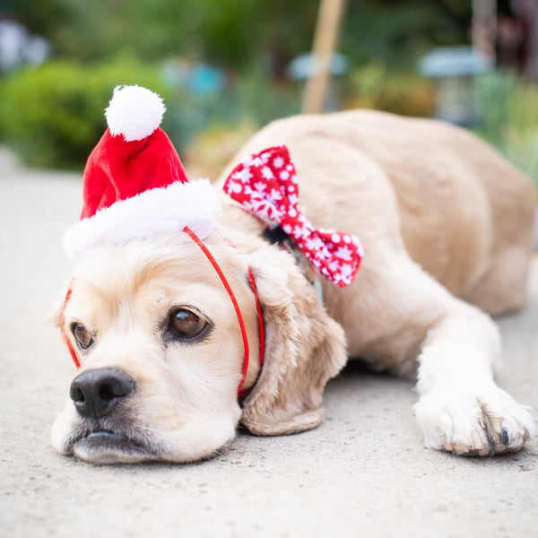 SantaHat1_SnowflakeBowTie_600x