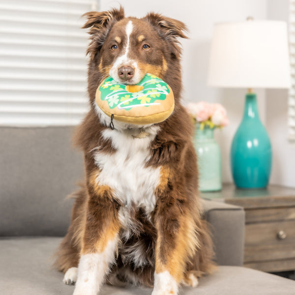 Shamrock Donut - Dog Toy - Huxley & Kent