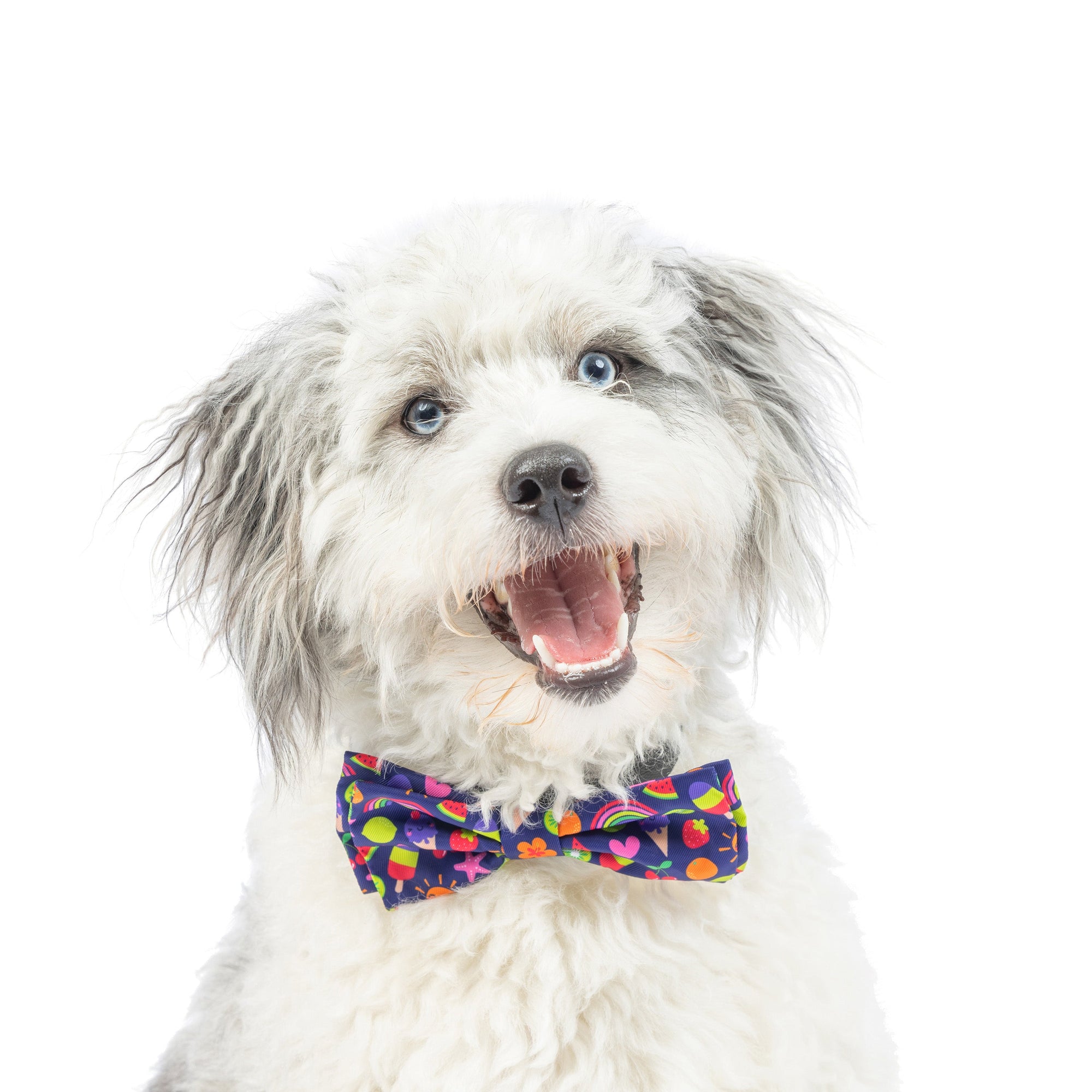 Summer Icons Bow Tie