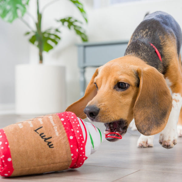 Latte My Way (Double Sided) - Plush Dog Toy - Huxley & Kent