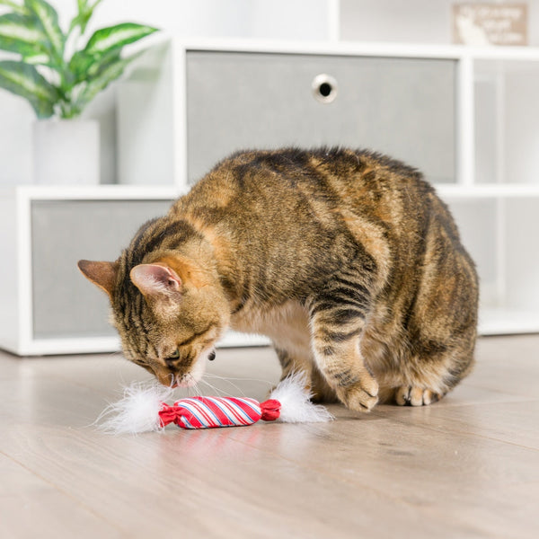Lit Donut & Peppermint Candy 2pk Cat Toy - Huxley & Kent