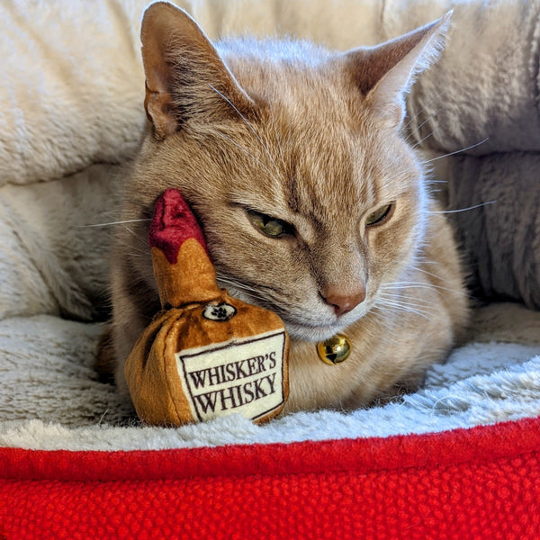 Fireball whiskey cat store toy