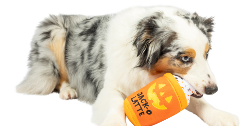 Spooktacular Halloween Toys to Fill Your Pet’s Trick-or-Treat Bucket! 🎃👻