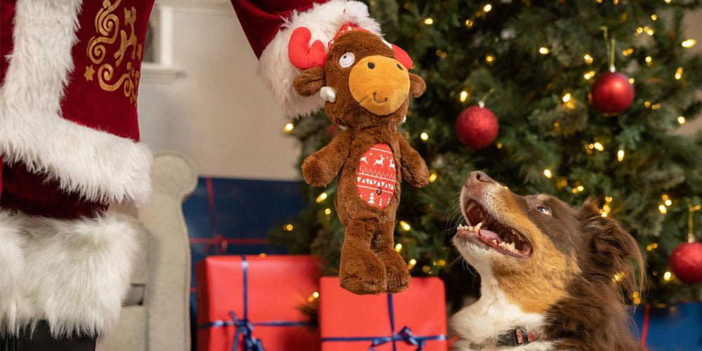 12 Christmas Gifts for Naughty & Nice Dogs