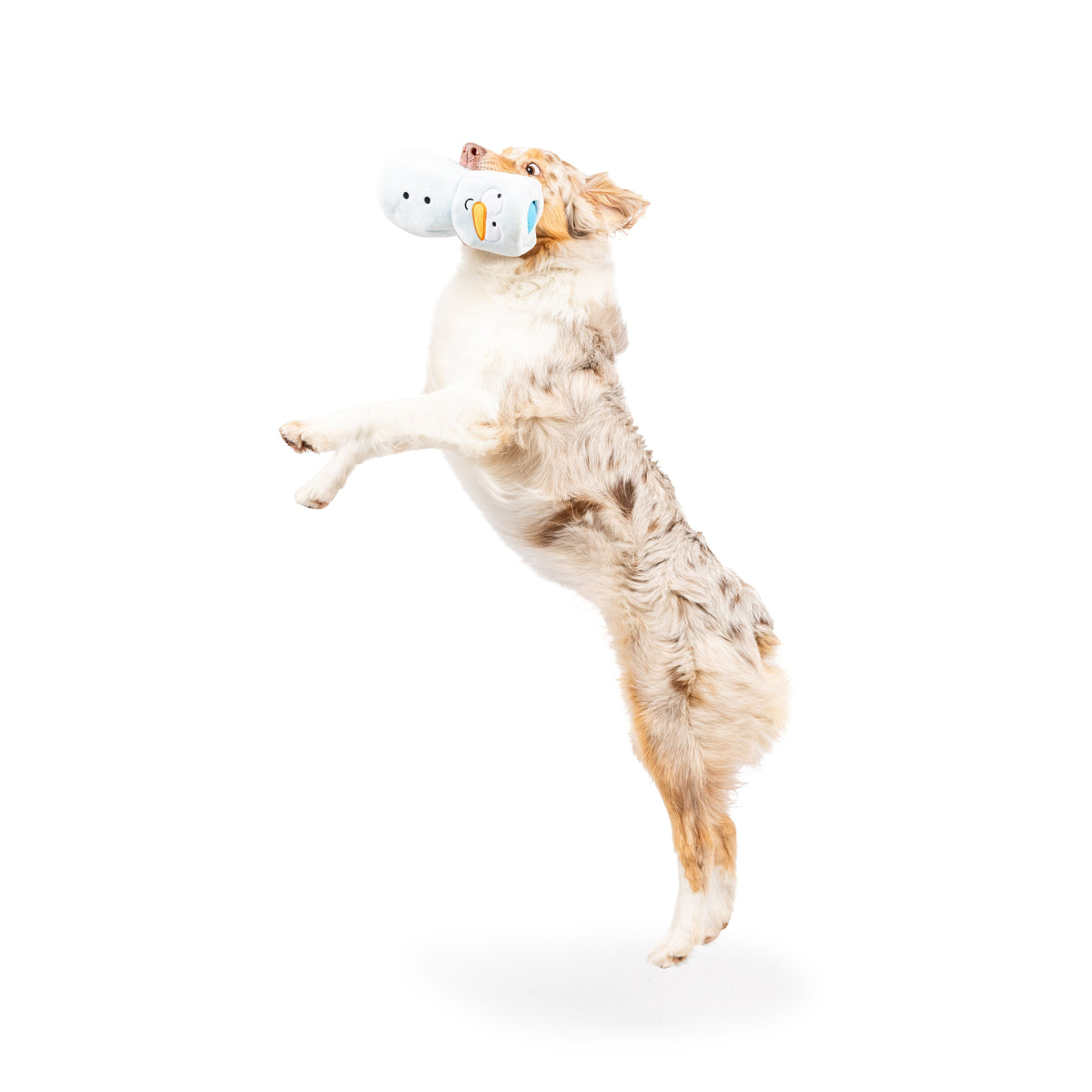Squeak &#39;n Peek Frosty Snowman Dog Toy