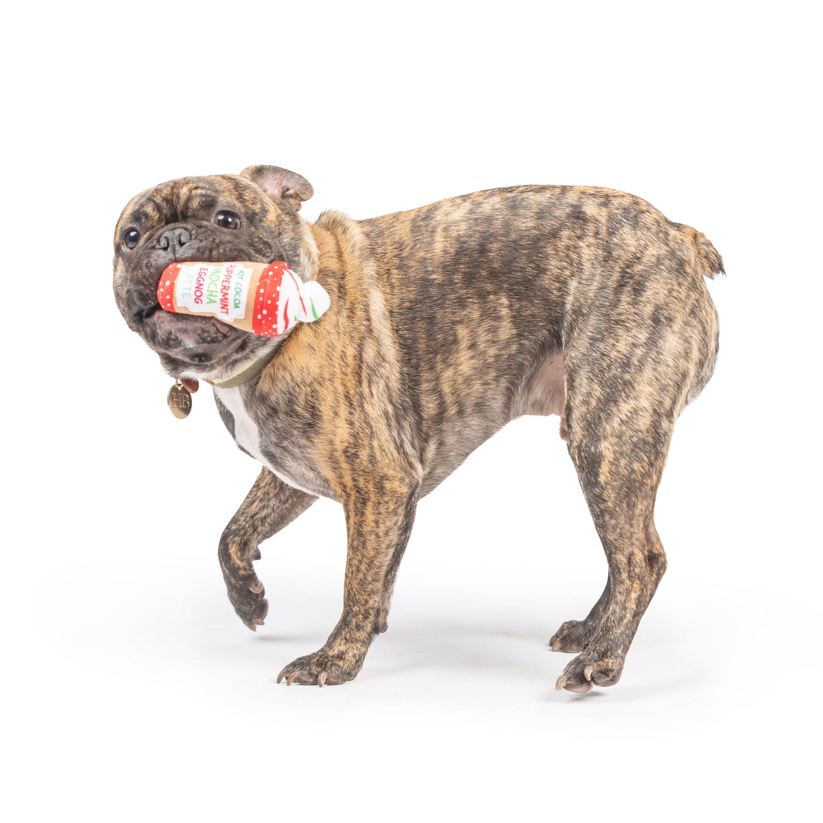 Tiny Tuff Latte My Way