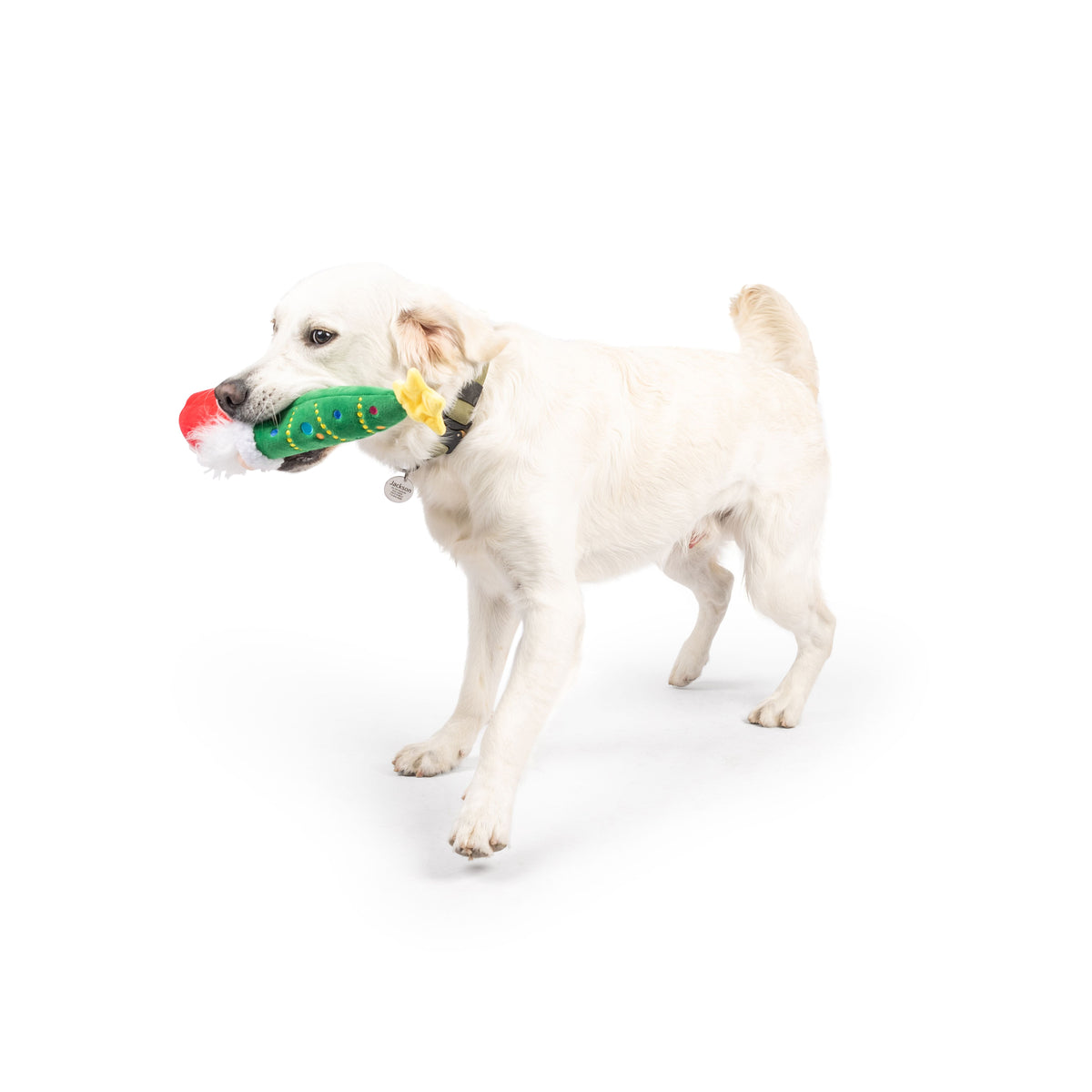 Fetchies® Let&#39;s Get Lit Gnome Dog Toy