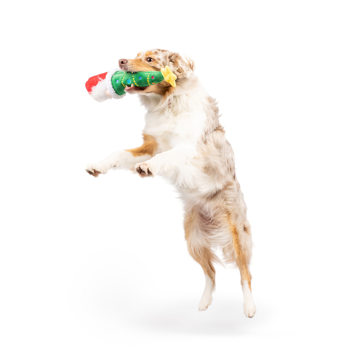Fetchies® Let&#39;s Get Lit Gnome Dog Toy