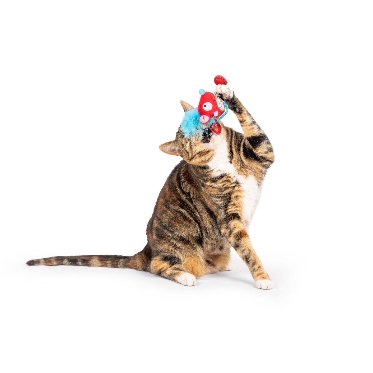 Cheerful Mouse Chirpy Cat Toy