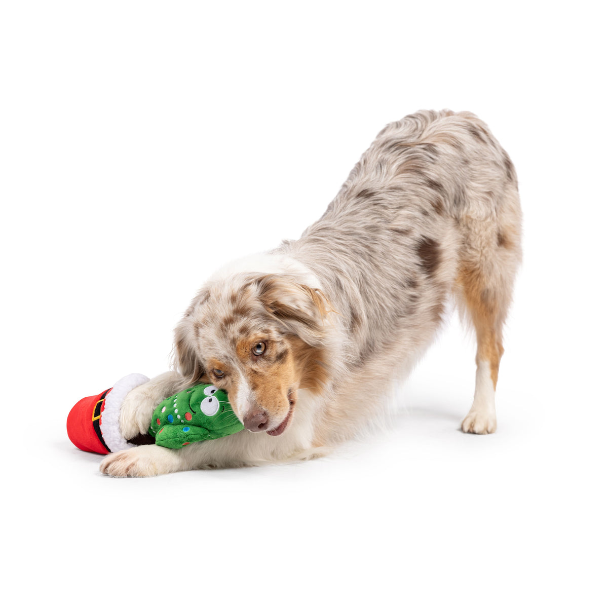 Seek &#39;n Treat Prickly &amp; Bright Pawt Dog Toy