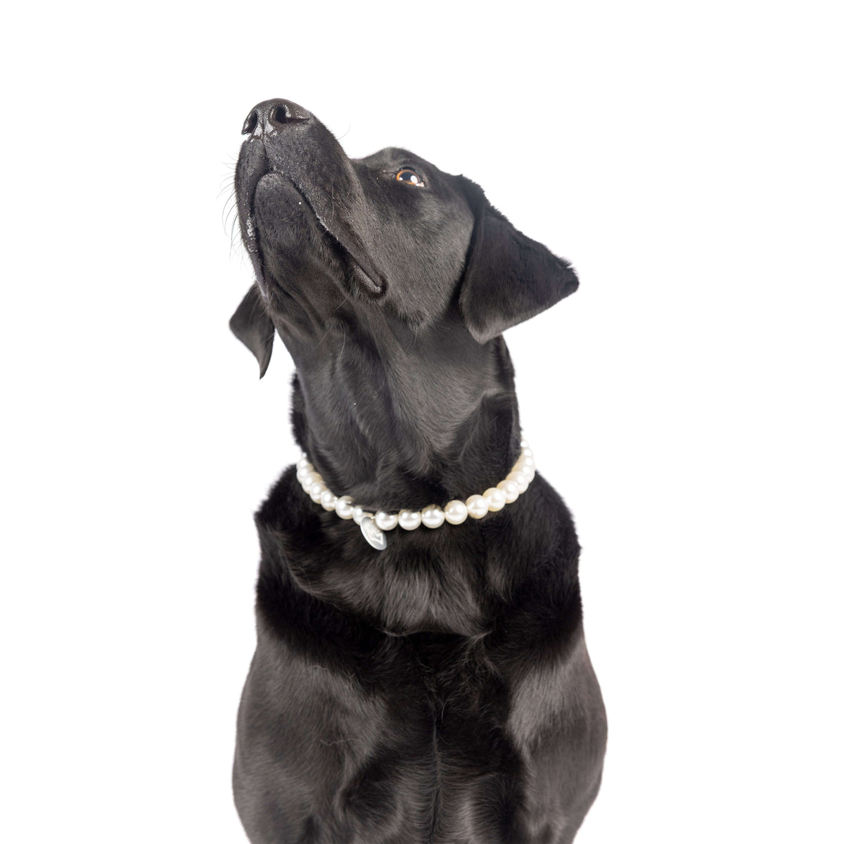 Iridescent Pearl Beaded Necklace Huxley & Kent