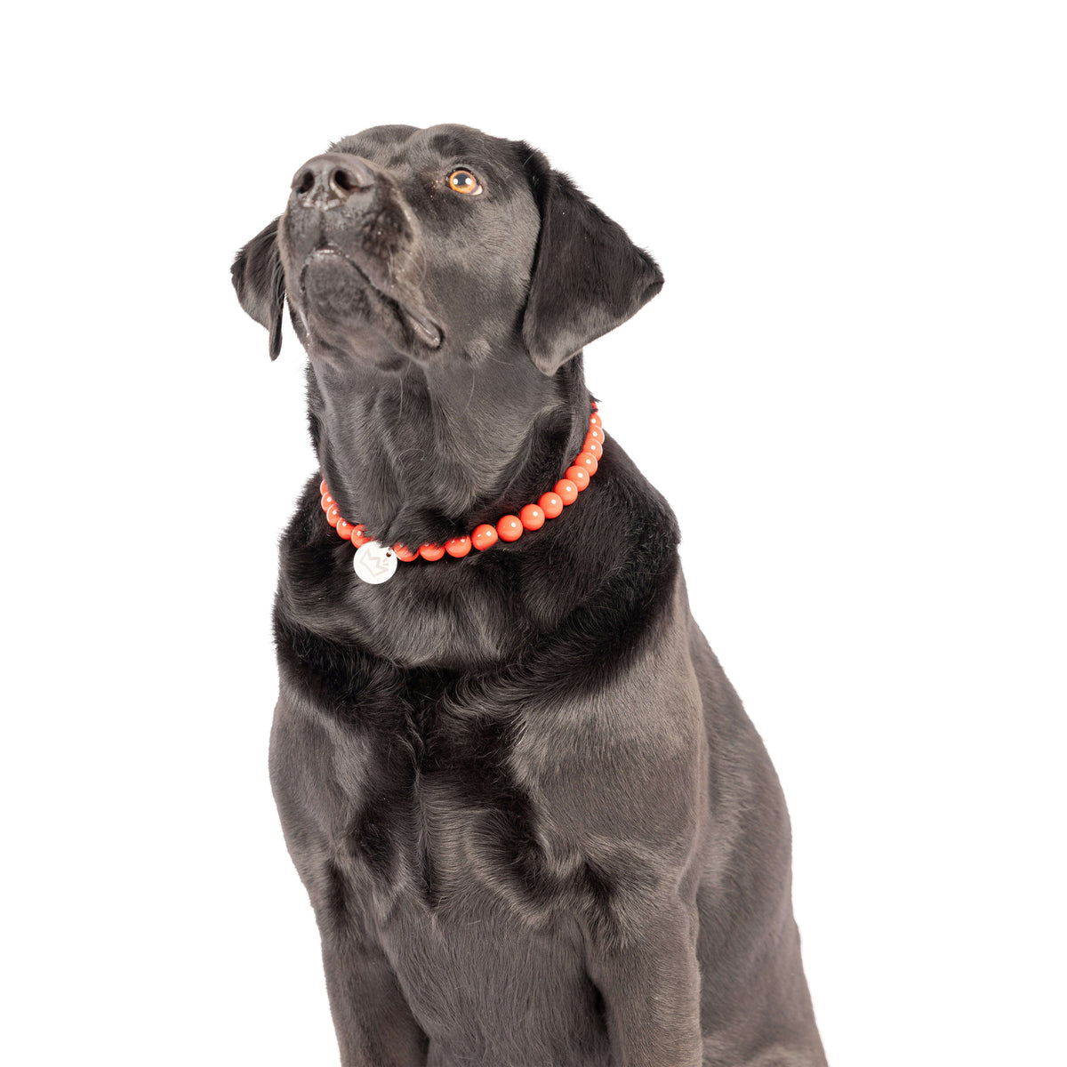 Ruby Red Beaded Necklace Huxley & Kent