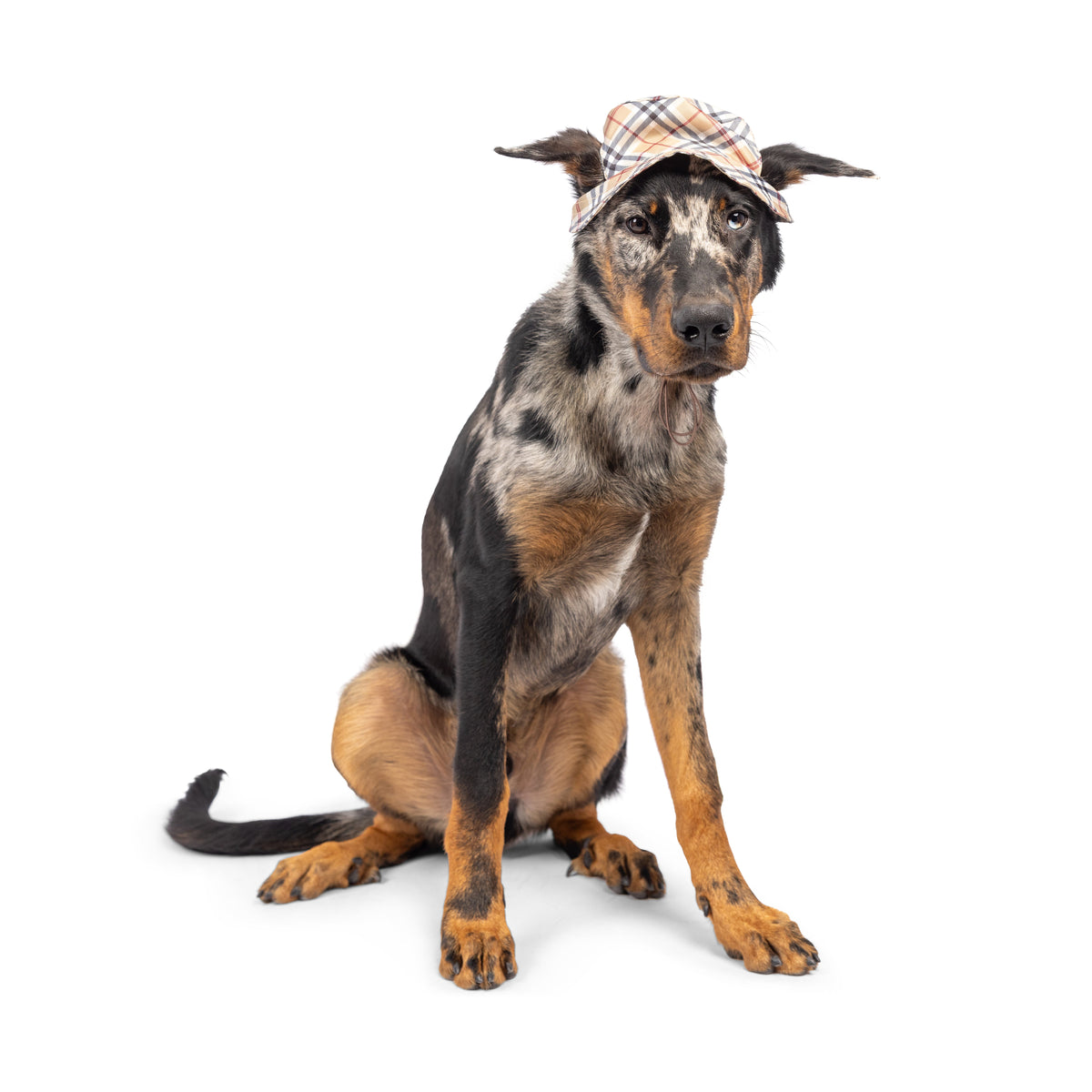 Bucket Hats with SnugFit®