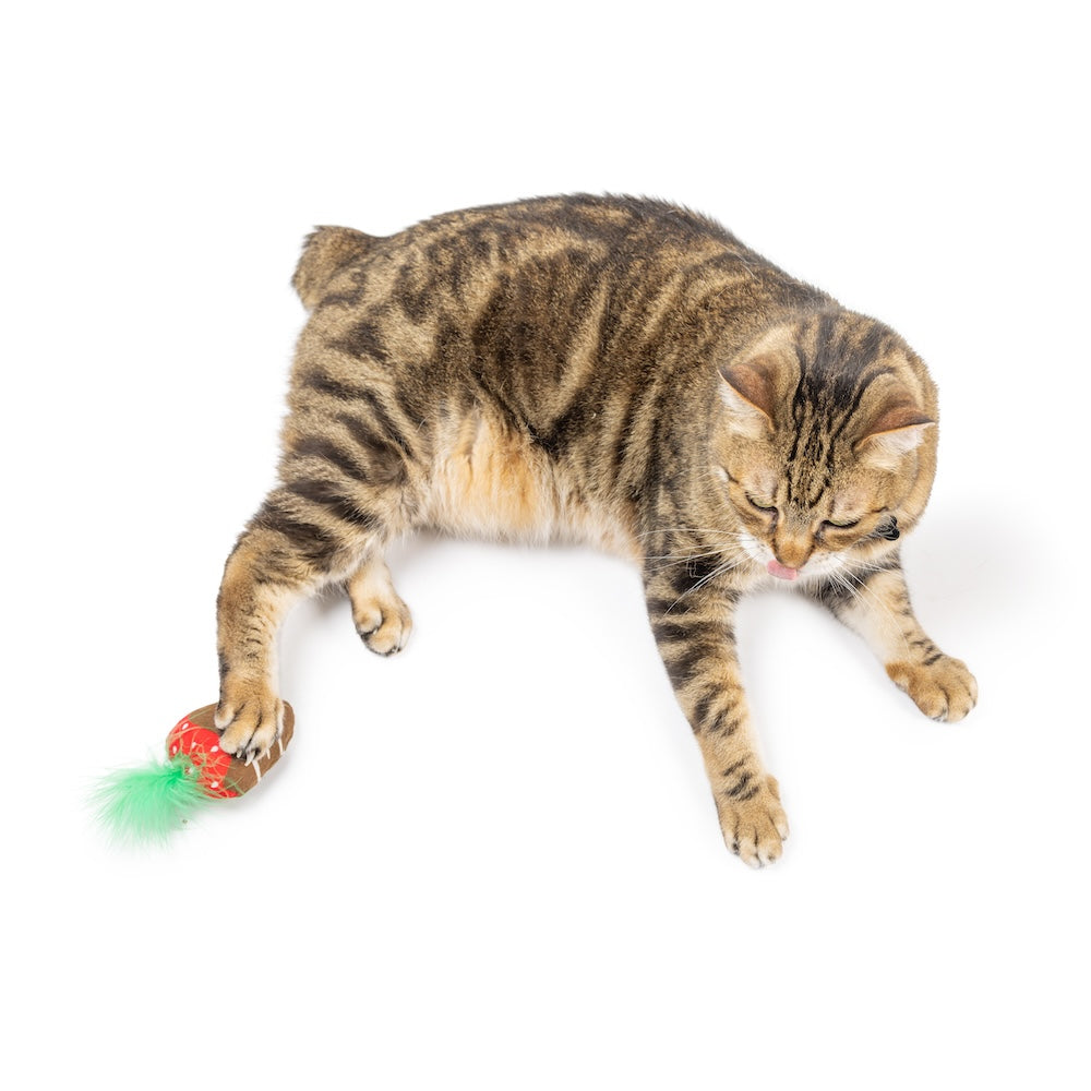 Chocolate Strawberry Cat Toy