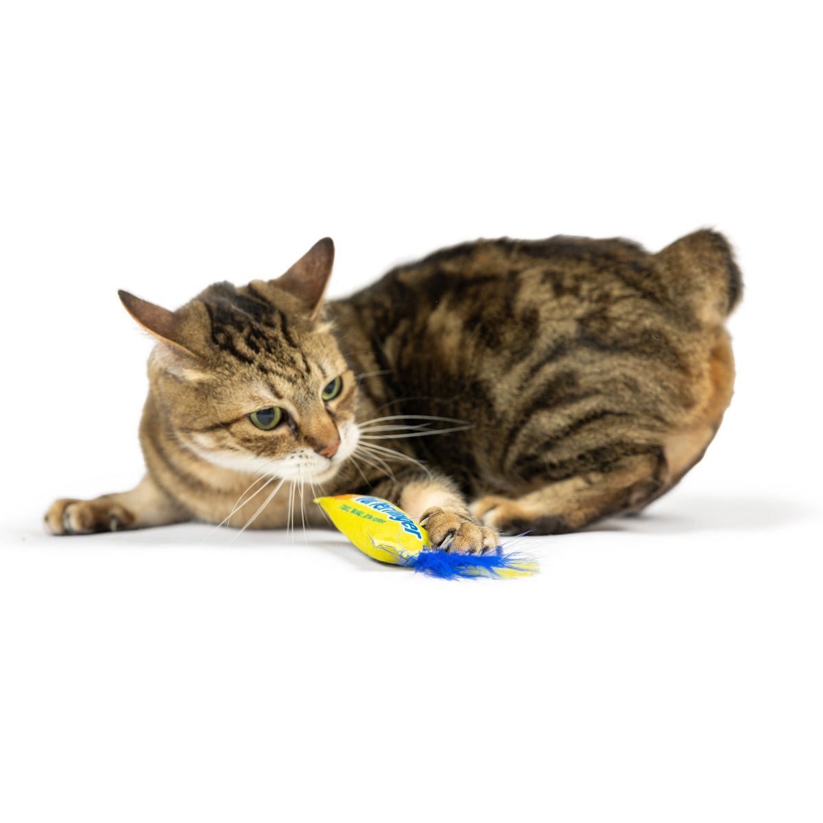 Flufferfinger Cat Toy