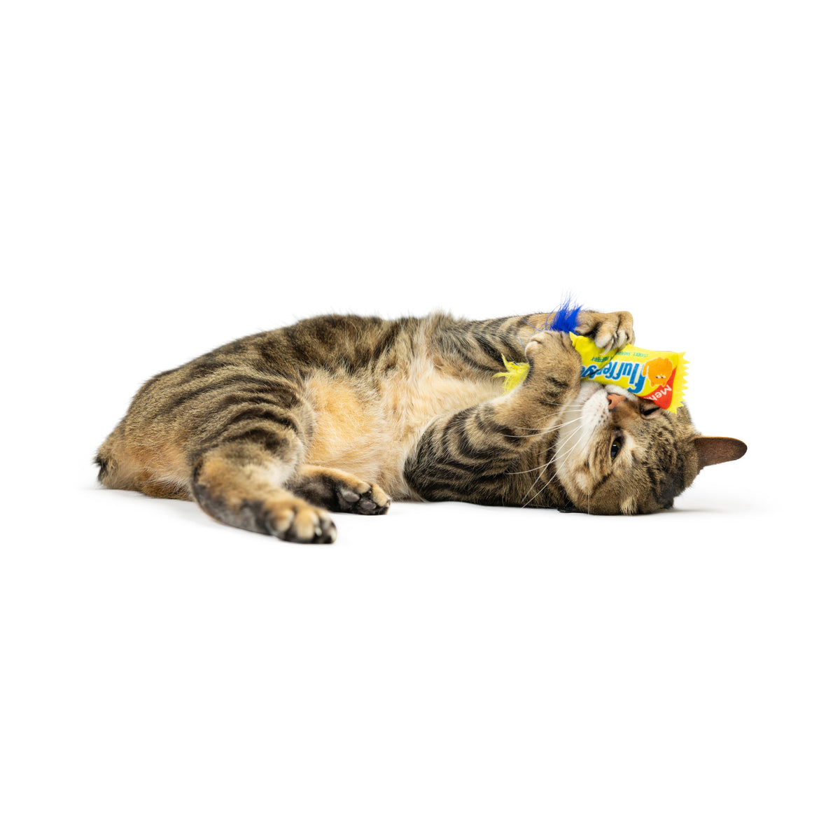 Flufferfinger Cat Toy