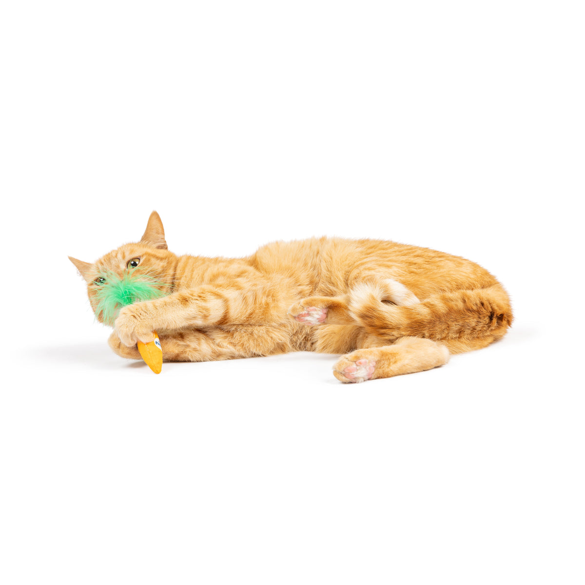 Hoppy Easter 2pk Cat Toy