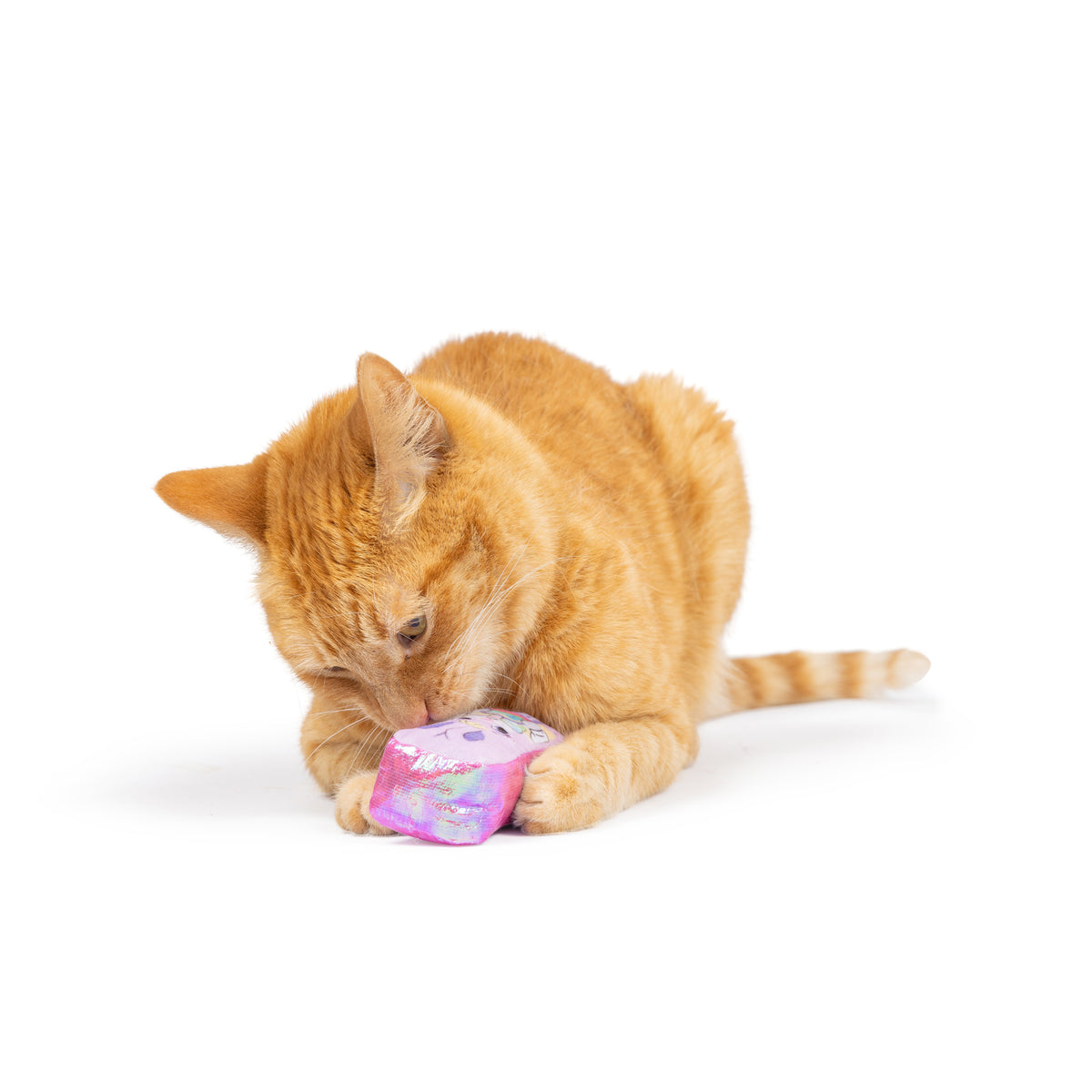 Hoppy Easter 2pk Cat Toy