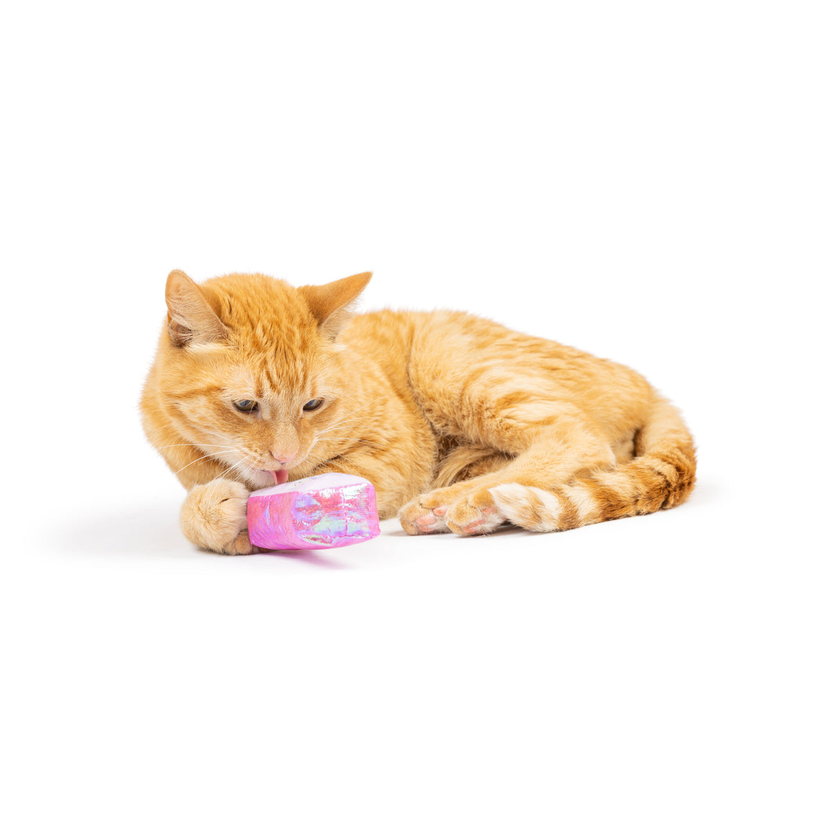 Hoppy Easter 2pk Cat Toy