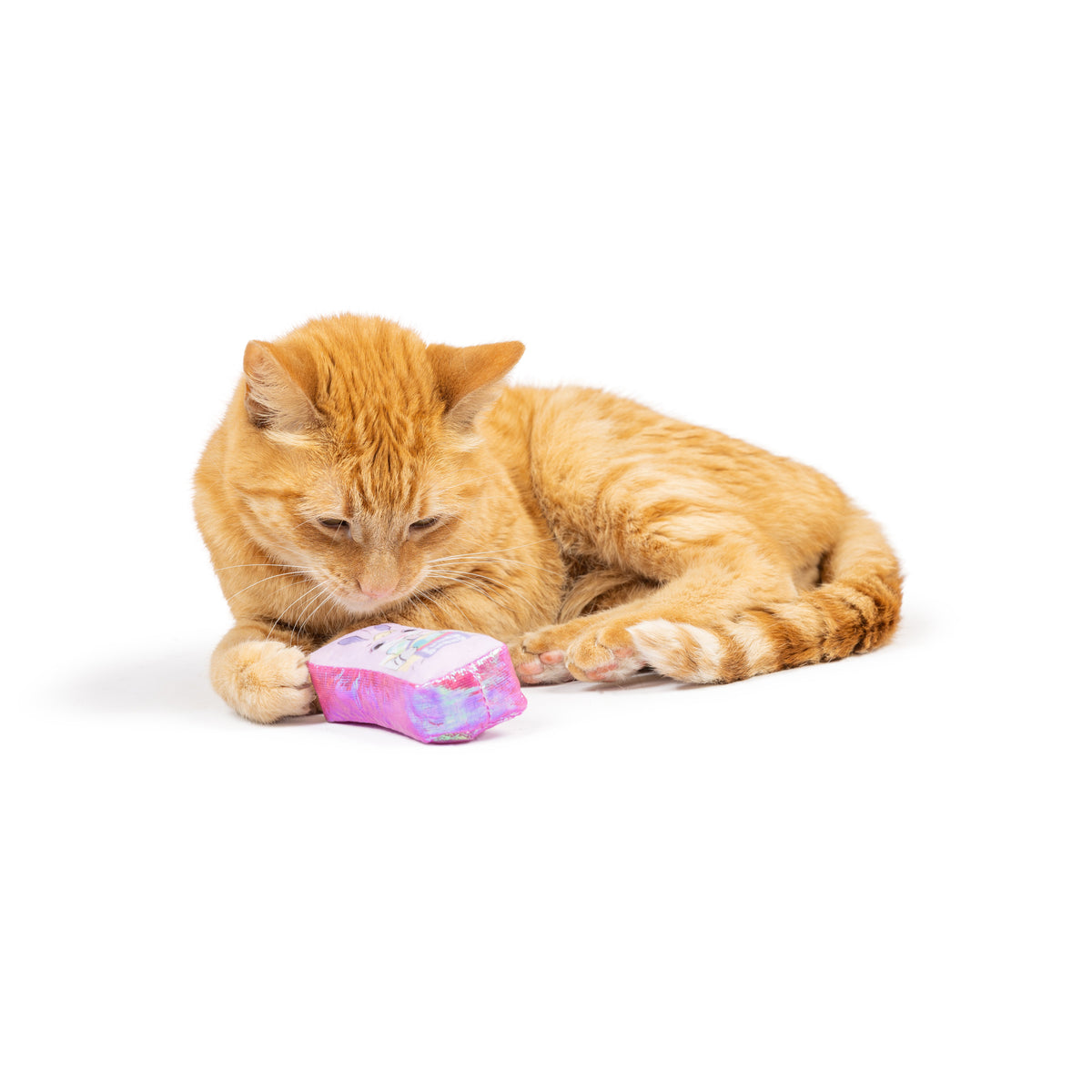 Hoppy Easter 2pk Cat Toy