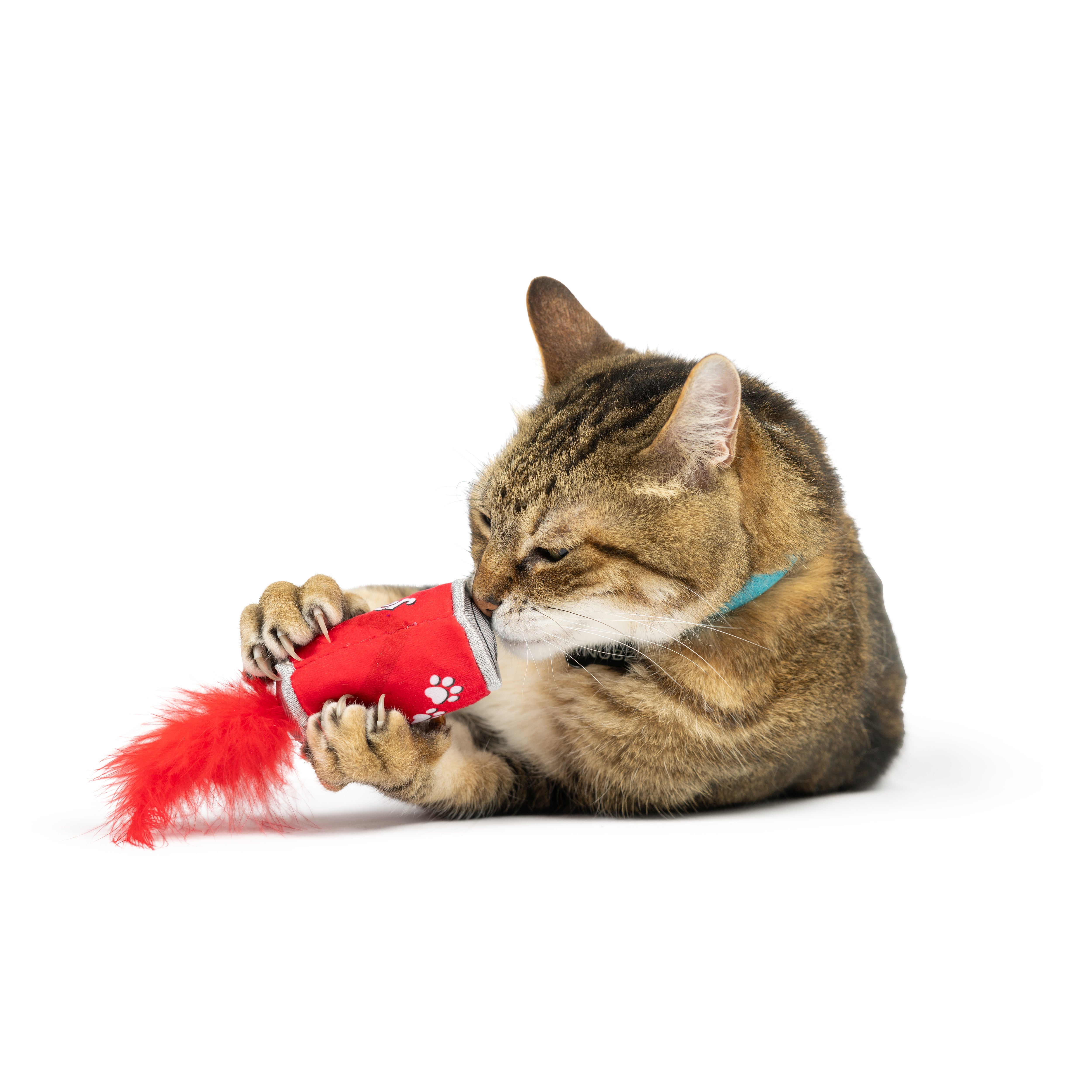 Lil' Pooper Cat Toy - Huxley & Kent