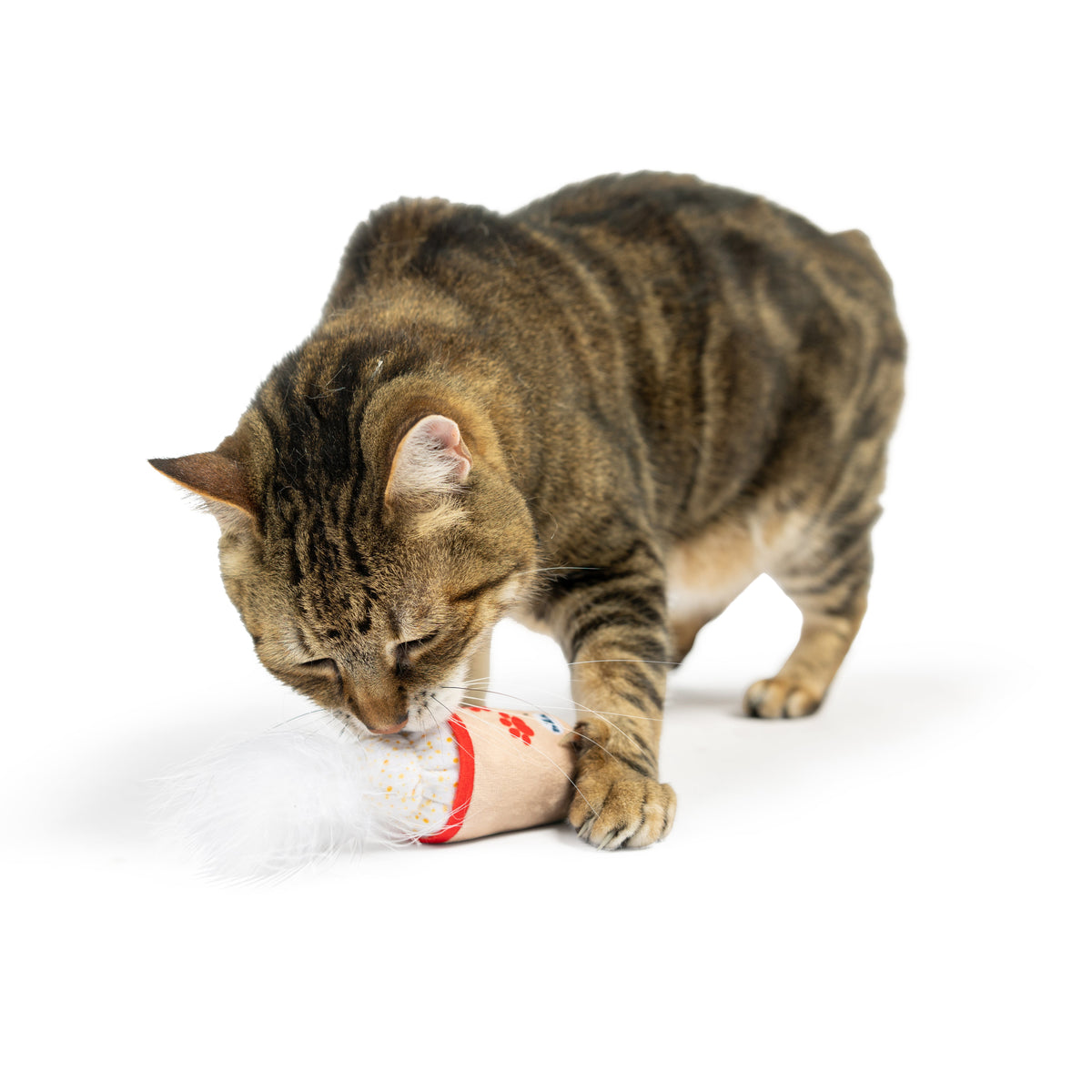 Meh&#39; Nog Cat Toy