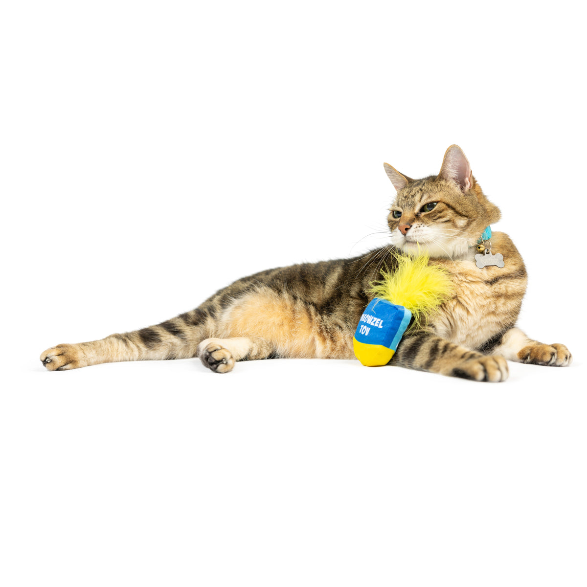 Meow-zel Tov Dreidel Cat Toy