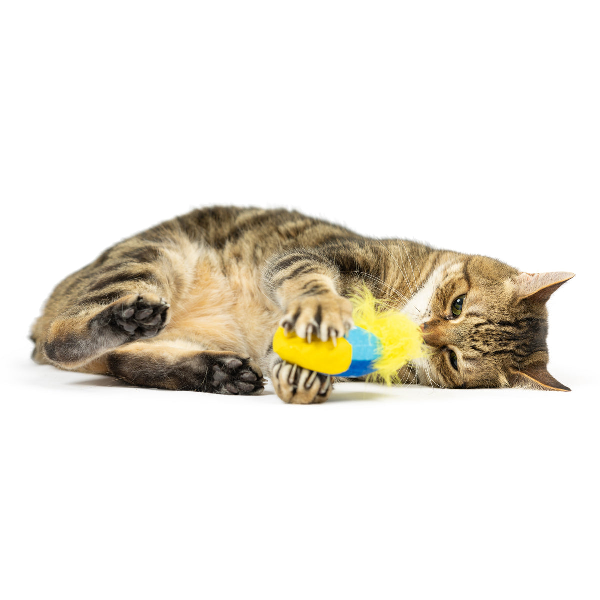 Meow-zel Tov Dreidel Cat Toy