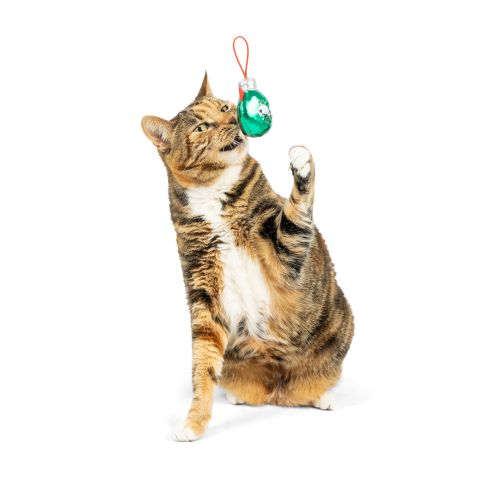 Ornament (Asstd. Colors) Flinger Cat Toy Huxley & Kent