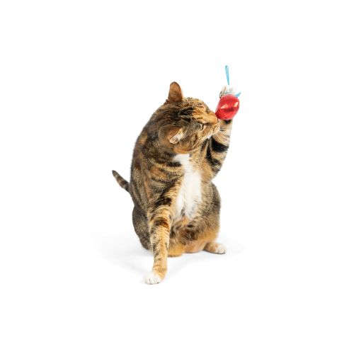 Ornament (Asstd. Colors) Flinger Cat Toy Huxley & Kent