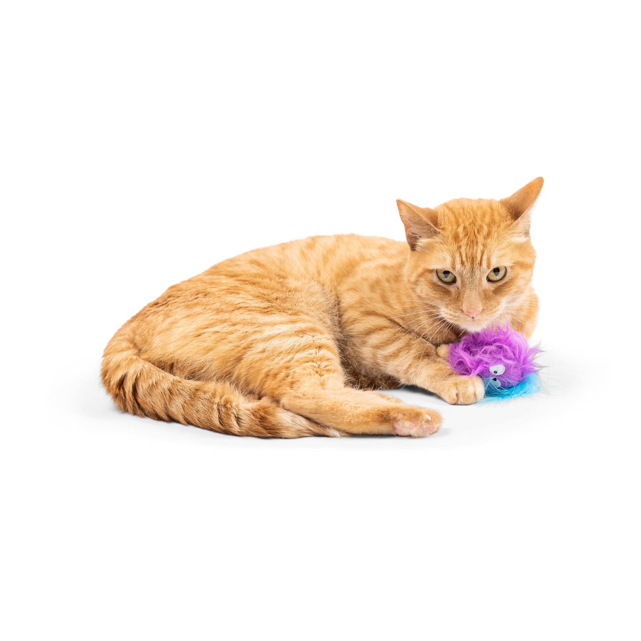 Furr Ball Cat Toy - Assorted Colors - Huxley & Kent